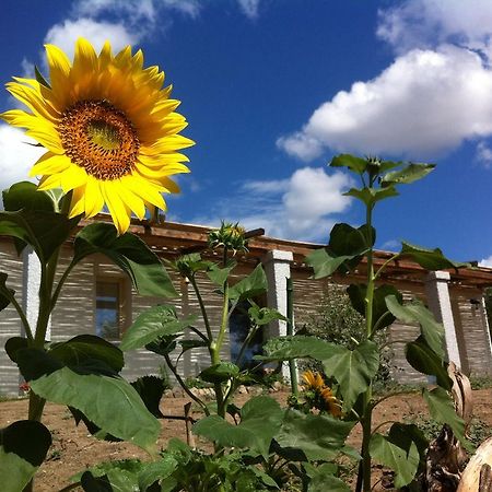 Nacchinono Bed and Breakfast Όλμπια Εξωτερικό φωτογραφία